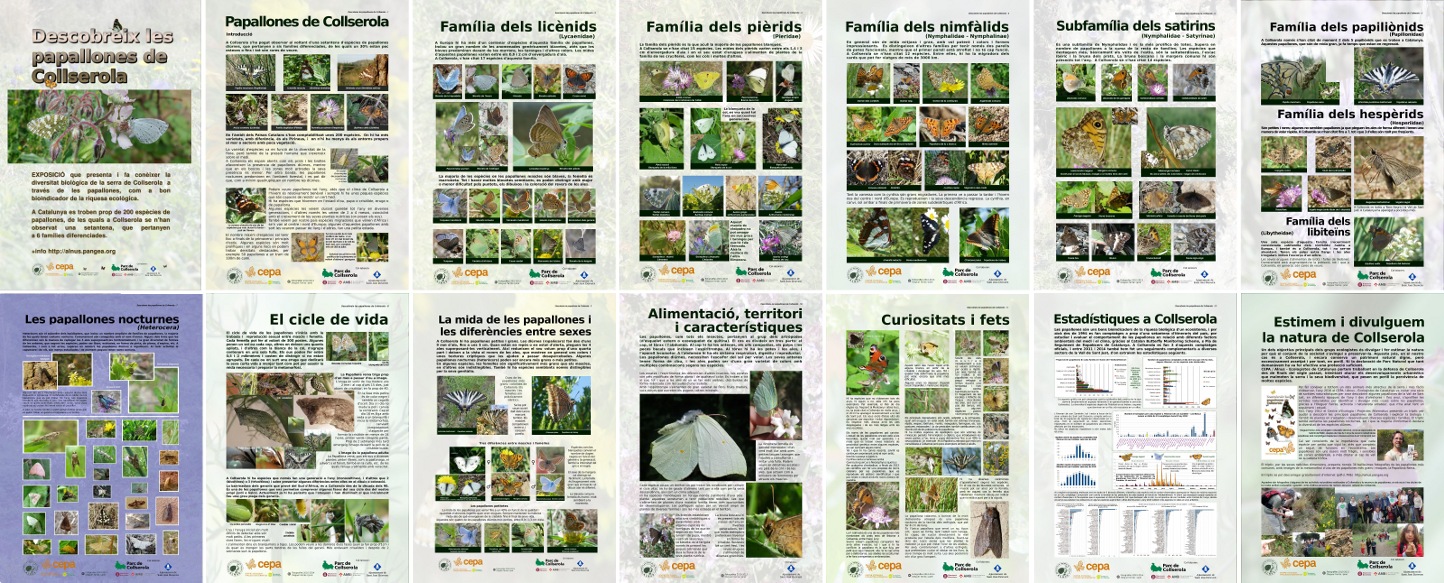 Exposició amb 14 cartells de les papallones de Collserola