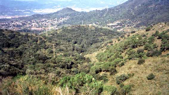 Conca del Torrent de la font del Ferro i vista de la vall